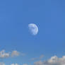 Moon Clouds
