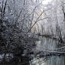 Winter Creek