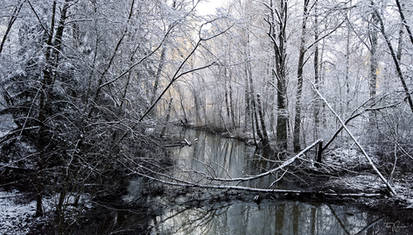 Winter Creek