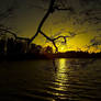 Fading Light