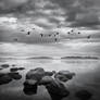 Departure