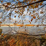 Autumn Evening