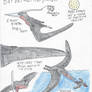 Pterosaurs of the Phosphates - Barbaridactylus