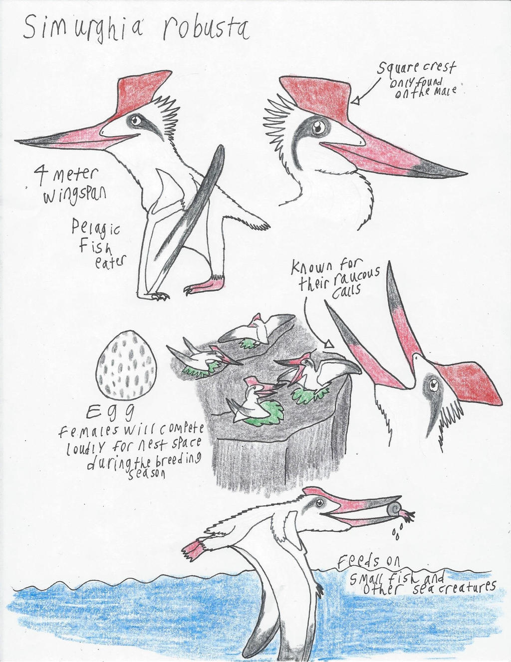 Pterosaurs of the Phosphates Simurghia by CJCroen on DeviantArt