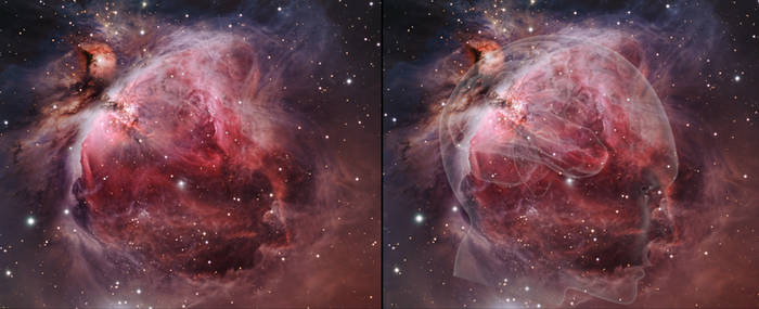 Orion Nebula and The Human Brain