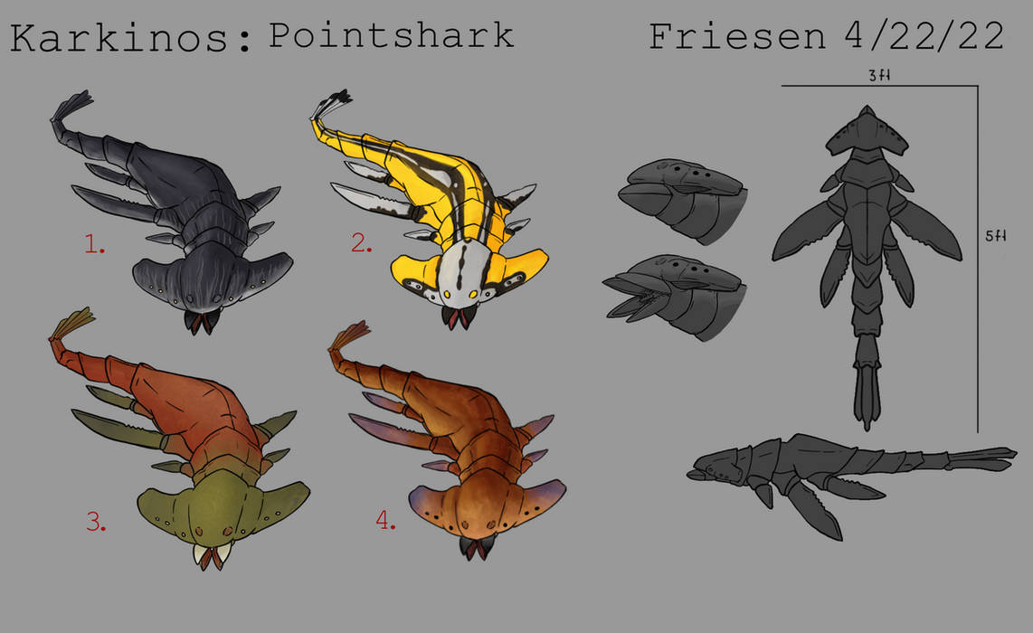 Point Sharbs Pointshark Concept by Ep1cne55 on DeviantArt