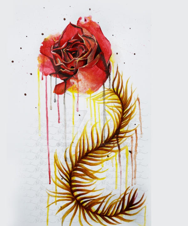 A Red Rose by muddly661 A Red Rose by muddly661