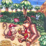 Donkey Kong Country