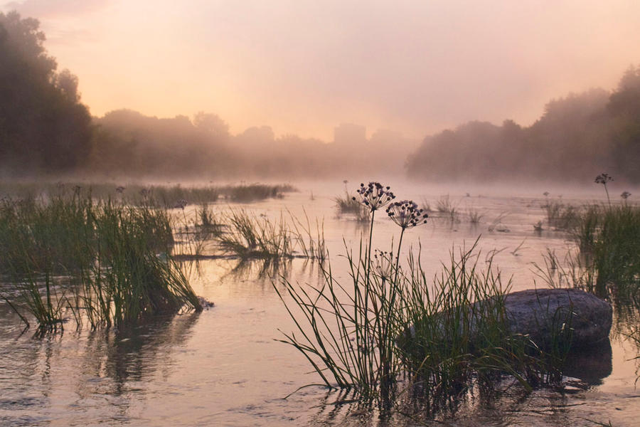 One wet misty morning