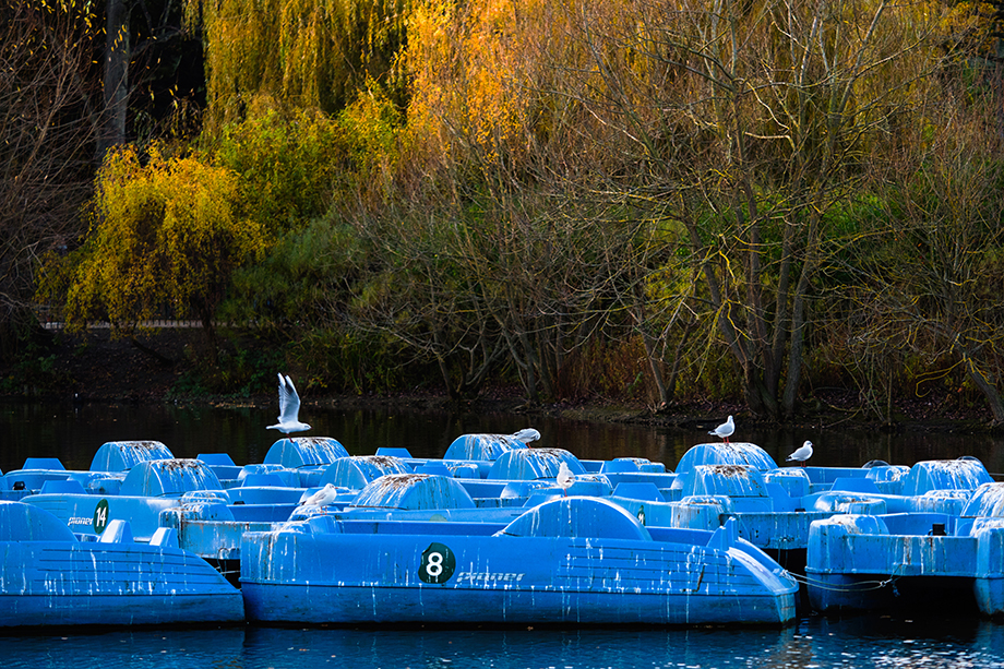 A walk in Crystal Palace Park 2