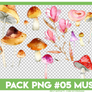 [PNG] #05. PACK PNG mushroom