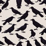 Ravens