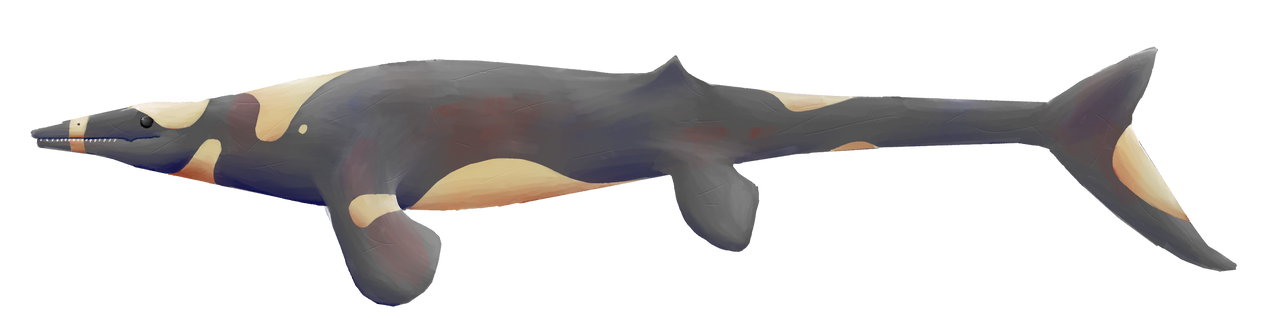 Transparent Mosaurus Mosasaurus (Transparent) by GanymedeArt on DeviantArt