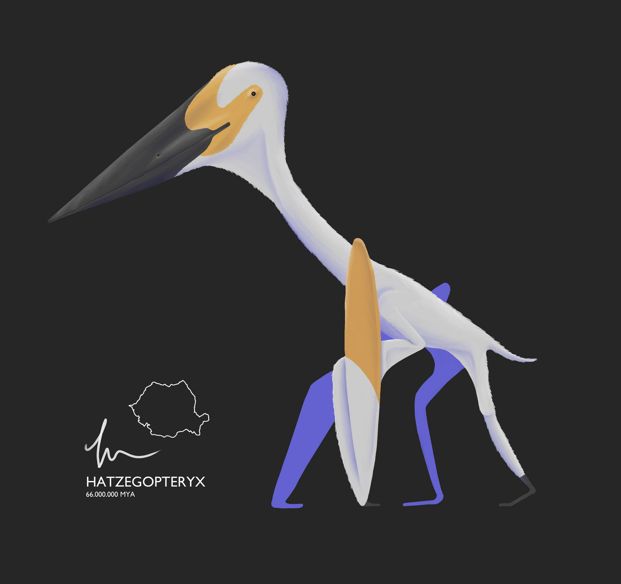 Hatzegopteryx By GanymedeArt On DeviantArt hatzegopteryx-by-ganymedeart-on-deviantart