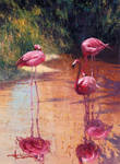 'Streak of Pink' Oil on Canvas by Robert Hagan by robert-hagan