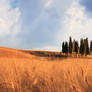 Val d'Orcia