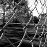 Artificial Barb Wire