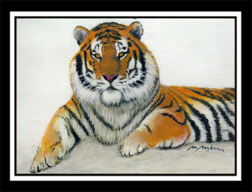 Siberian Tiger3