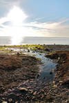 Crescent Beach by whitneymusil