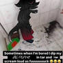 Rose in da Tar