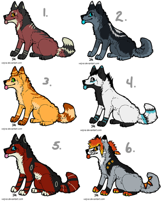 Wolf Adoptables 8