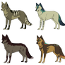 (Make An Offer) Tribal Canine Adoptables