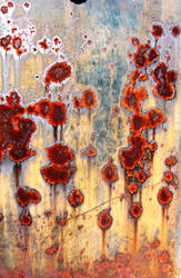 Rusty Poppies