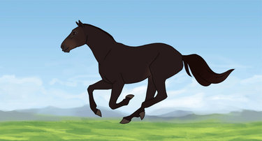Horse Run Cycle Animation