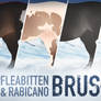 Custom Brushes | Fleabitten Grey and Rabicano