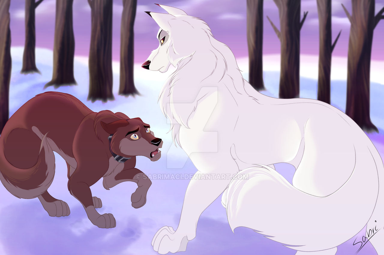 Aniu Aniu - The White Wolf on TheHeritage-of-Balto - DeviantArt