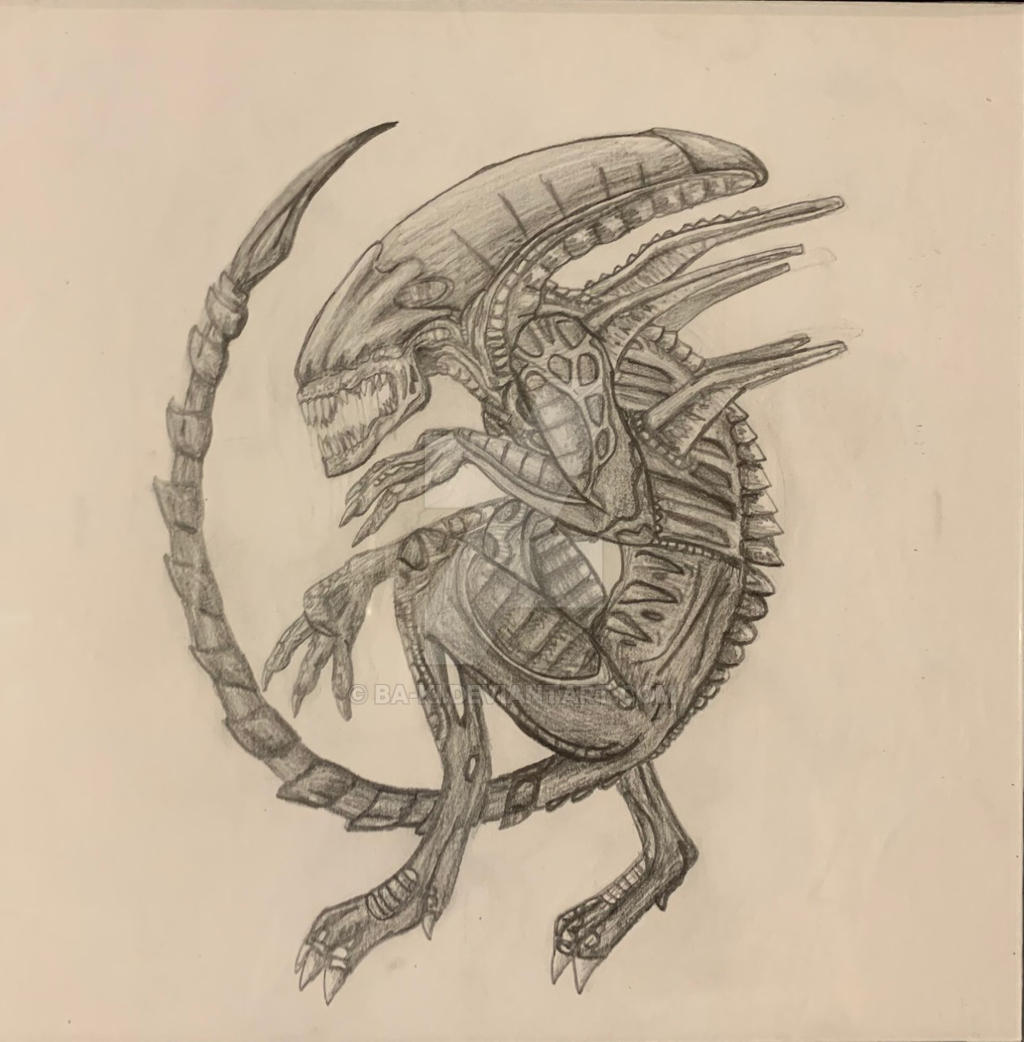 Alien pencil sketch by Ba-Ki on DeviantArt