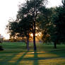 park at sunset