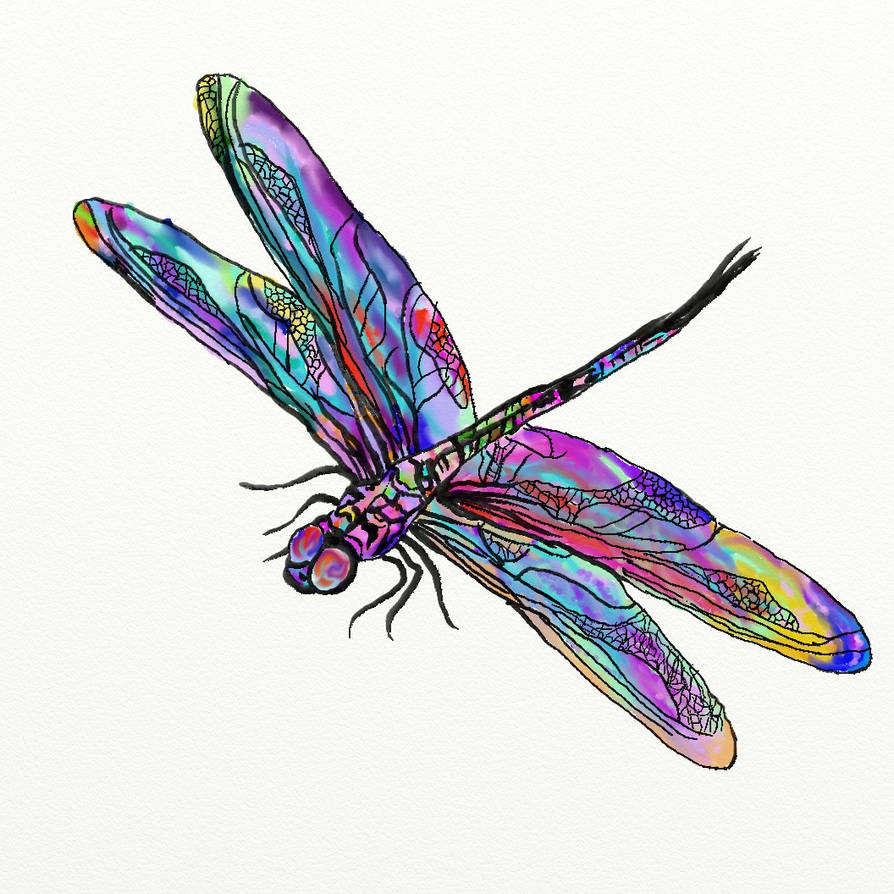 Dragonfly Deviantart Dragonfly by loza2844 on DeviantArt