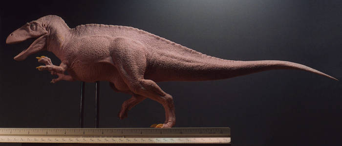 Acrocanthosaurus atokensis