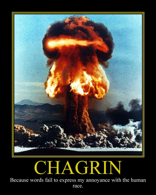 Chagrin Motivational Poster by DaVinci41 on DeviantArt