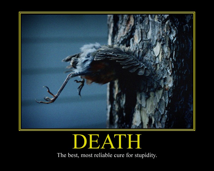 Death II Motivational Poster