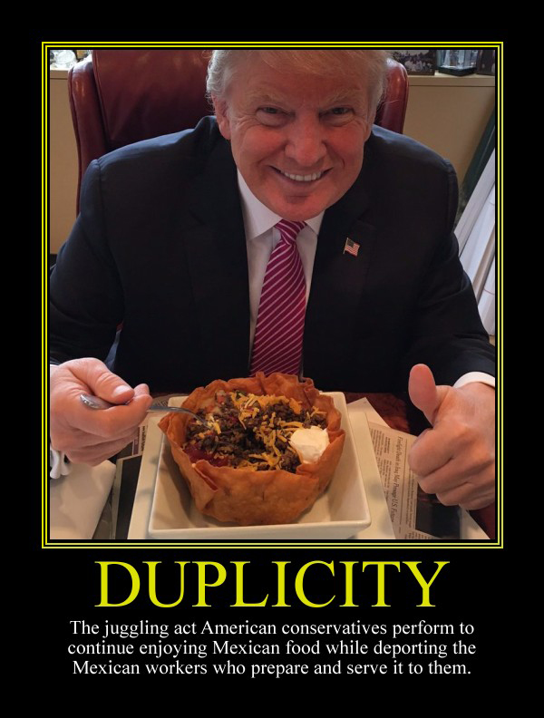 Duplicity Motivational Poster