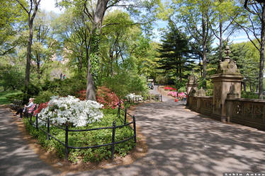 Central park