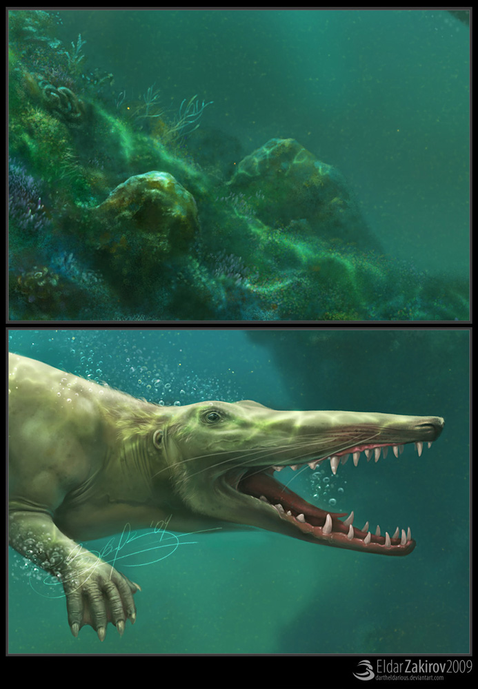 Ambulocetus-CloseUp