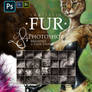 Realistic FUR. 28 Brushes for Photoshop. Updated!