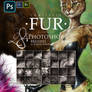 Realistic FUR. 28 Brushes for Photoshop. Updated!