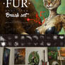 BlackFriday 50% DISCOUNT for Fur Brushset 2015