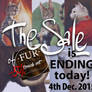 BF 50% DISCOUNT for Fur Brushset is ending!