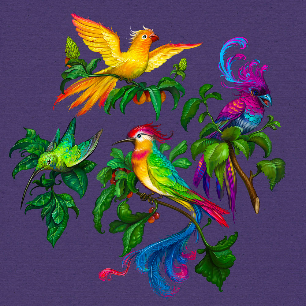 Birds for Pattern