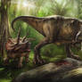 Tyrannosaurus and Triceratops