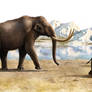 Mammoths and ancient elephant