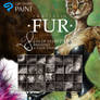 28 CLIP STUDIO PAINT Realistic FUR Brush Sub Tools