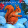 SALE! Squirrel. Illustration for Greeting Cards