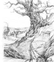 Exploring the Witch: Her oak