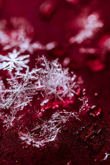 Let it snow #2